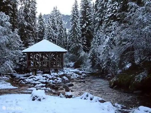 Charmant 3-kamer Appartement + WIFI huren in Zwitserland, Wallis, Morgins - appartement Riviertje