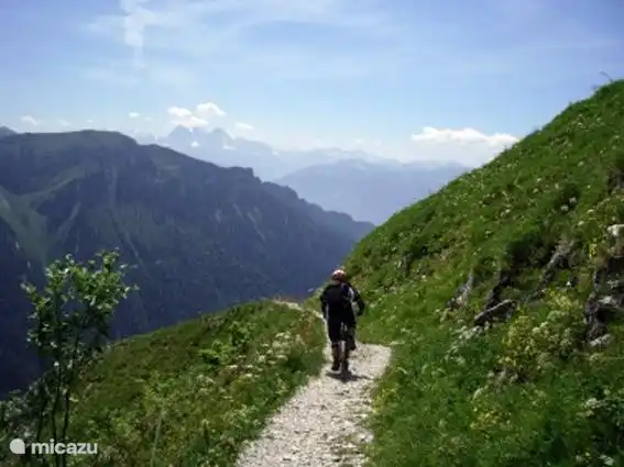 Biking in famous bike area with top amenities