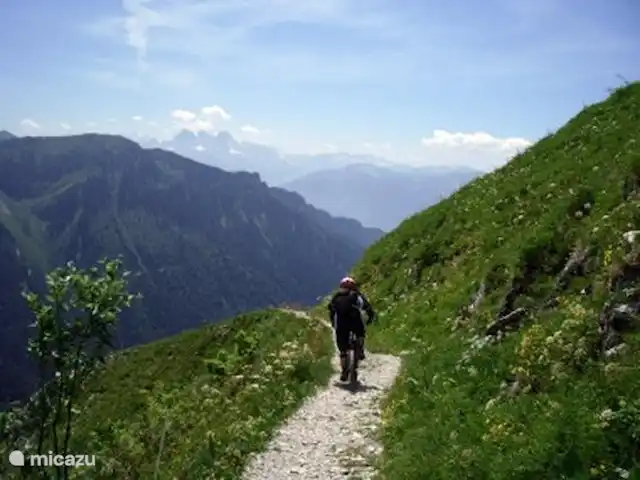 Charmant 3-kamer Appartement + WIFI huren in Zwitserland, Wallis, Morgins - appartement Biken in beroemd bike gebied met topvoorzieningen