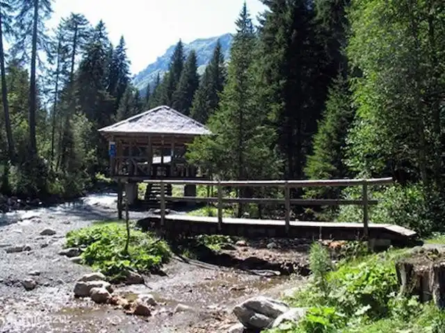 Charmant 3-kamer Appartement + WIFI huren in Zwitserland, Wallis, Morgins - appartement Riviertje zomer