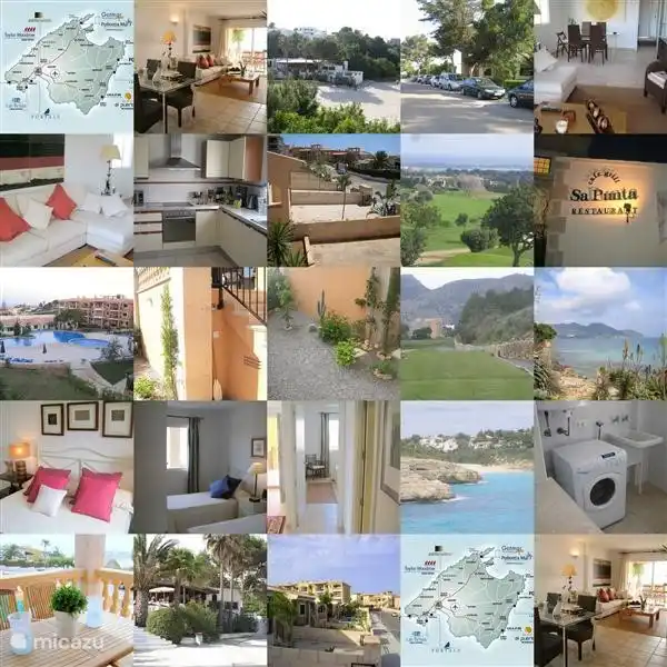 Eine Collage unseres Lieblingsschnitts.