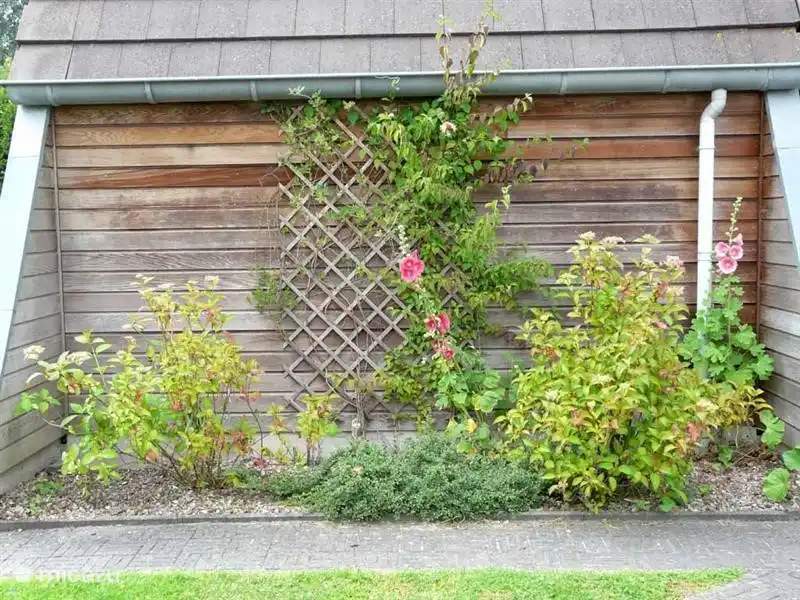 Vous le verrez à votre arrivée