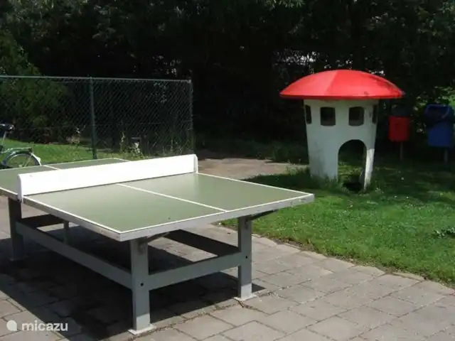 Pikmeer en Países Bajos, Frise, Grouw - bungaló Tenis de mesa