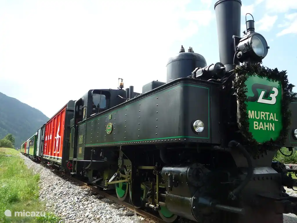 Explora la zona con el tren de vapor.