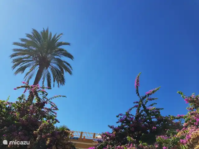 Cascades de la Marina | Espagne, Costa Blanca, Dénia - appartement Apprécier