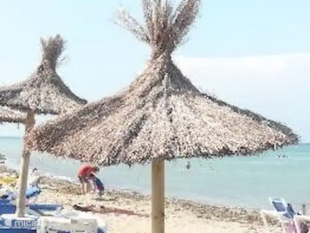 Cascades de la Marina | Espagne, Costa Blanca, Dénia - appartement Il y a quelque chose d'amusant pour tout le monde sur la plage. Des lits et des parasols peuvent être loués si vous préférez ne pas les porter vous-même.