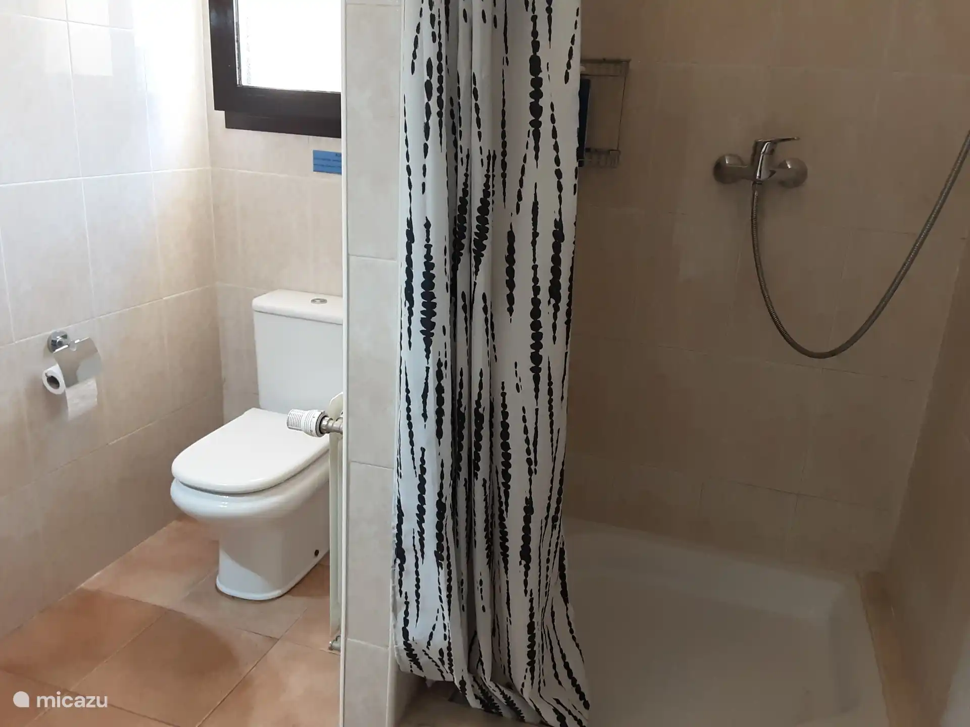 Toilette und geräumige Dusche aus dem Badezimmer im Erdgeschoss