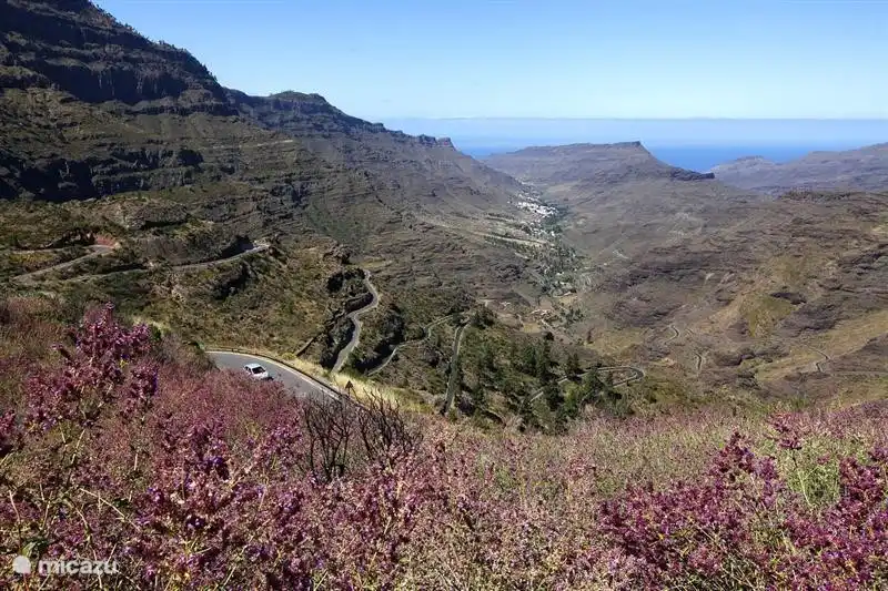 Rent Casa La Luz in Puerto de Mogan, Gran Canaria. Micazu