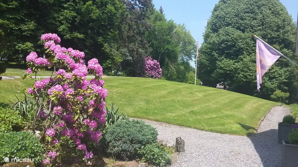 Rasen mit unserer Flagge