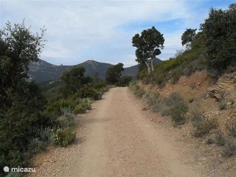 Preciosa zona de paseo con vistas al mar. Muy silencioso !
La casa está situada al pie de la reserva natural de Esterel.