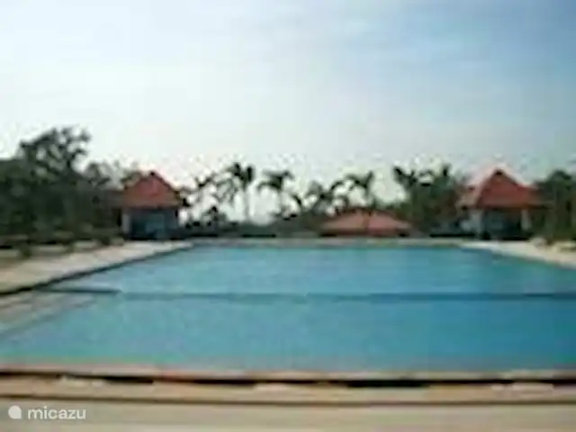 Appartement à Pattaya | Thaïlande, Côte orientale du golfe, Pattaya - studio La piscine est située en face du bâtiment au 3ème étage et est accessible via une carte-clé.
En nageant, vous pourrez profiter d'une vue magnifique sur la mer.
Dans le couloir de la piscine, il y a de nombreux magasins, coiffeurs, salons de massage, cybercafé, etc.
Dans la blanchisserie, vous pouvez apporter le linge, qu'il