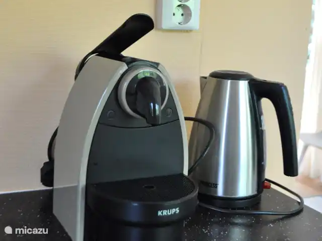 Location de Vacances Pays-Bas, Overijssel, Giethmen, bungalow - D`Ommekeer Machine Nespresso et bouilloire.