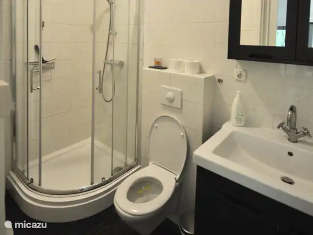 Location de Vacances Pays-Bas, Overijssel, Giethmen, bungalow - D`Ommekeer La salle de bain avec douche d'angle, placard pour produits de bain, lavabo et toilettes avec armoire à glace.