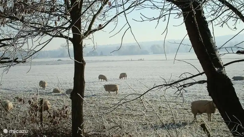 Winter-Szene neben dem Park