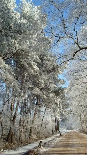 Schöne Umgebung im Winter