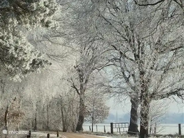 Location de Vacances Pays-Bas, Overijssel, Giethmen, bungalow - D`Ommekeer Route d'accès en hiver