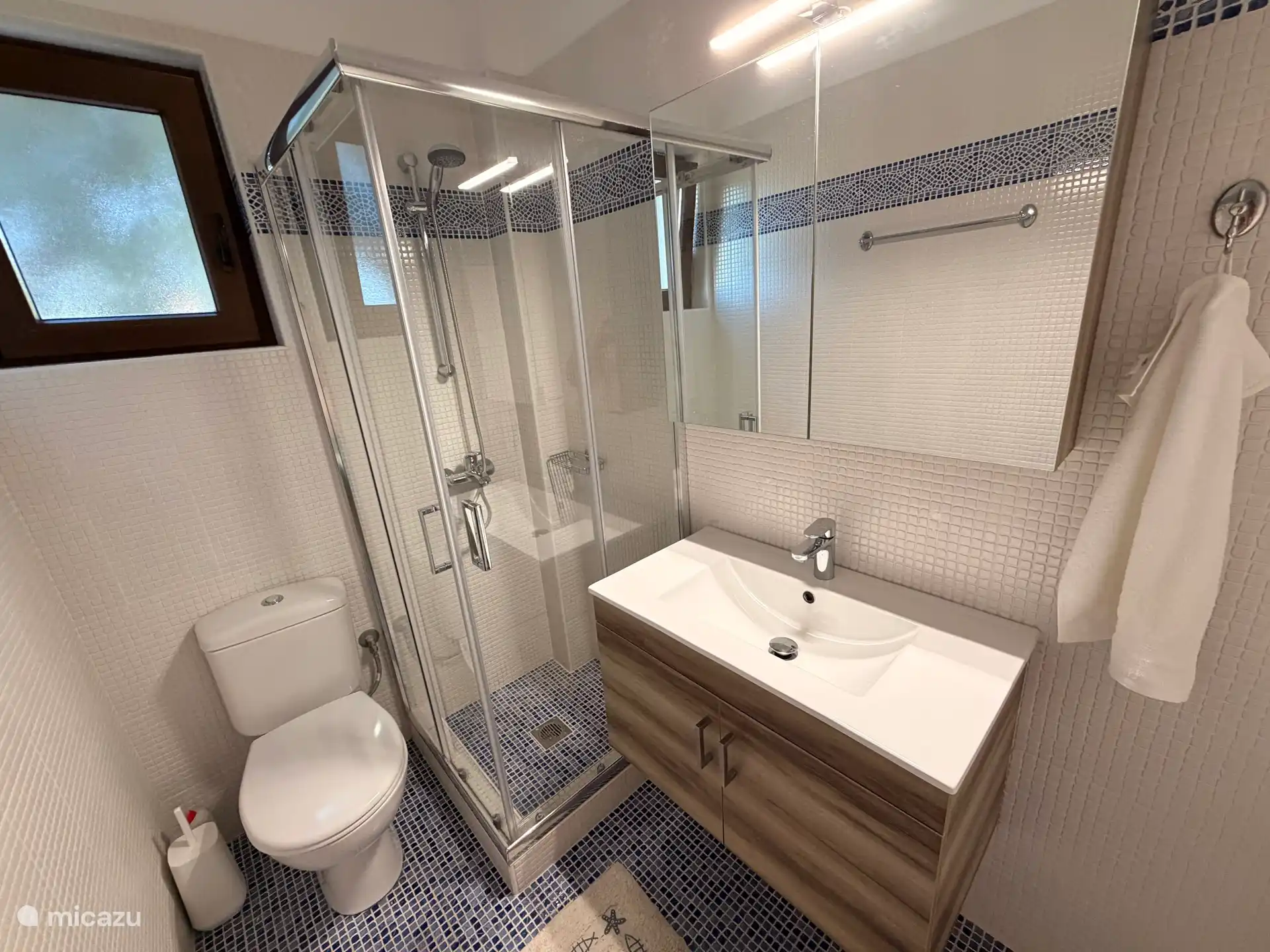 Badkamer beneden met douche en toilet.