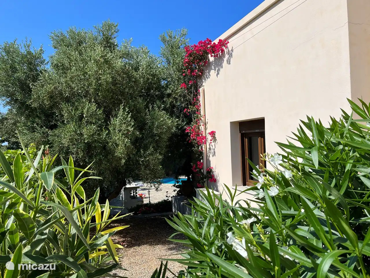 Blick am Haus vorbei. Es gibt viele Oleander, Rosen, Olivenbäume und Bougainvillea.