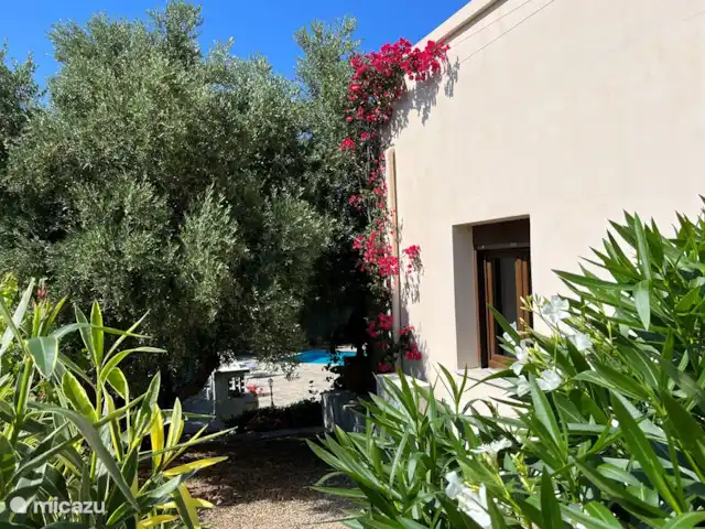 Location de Vacances Grèce, Crète, Rethymnon, villa - Villa Zeus Prinès Vue à travers la maison. Il y a beaucoup de lauriers roses, de roses, d'oliviers et de bougainvilliers.
