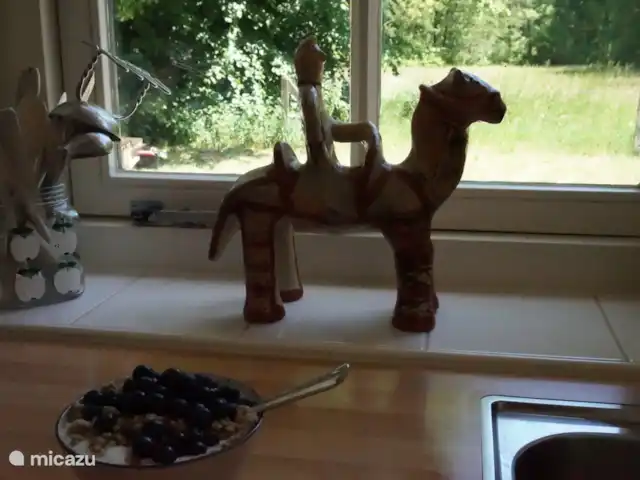 El Broekhof en Países Bajos, Güeldres, Klarenbeek - casa vacacional Impresión