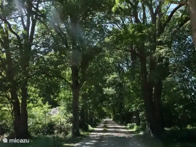 El Broekhof en Países Bajos, Güeldres, Klarenbeek - casa vacacional La carretera rural en la que se encuentra De Broekhof