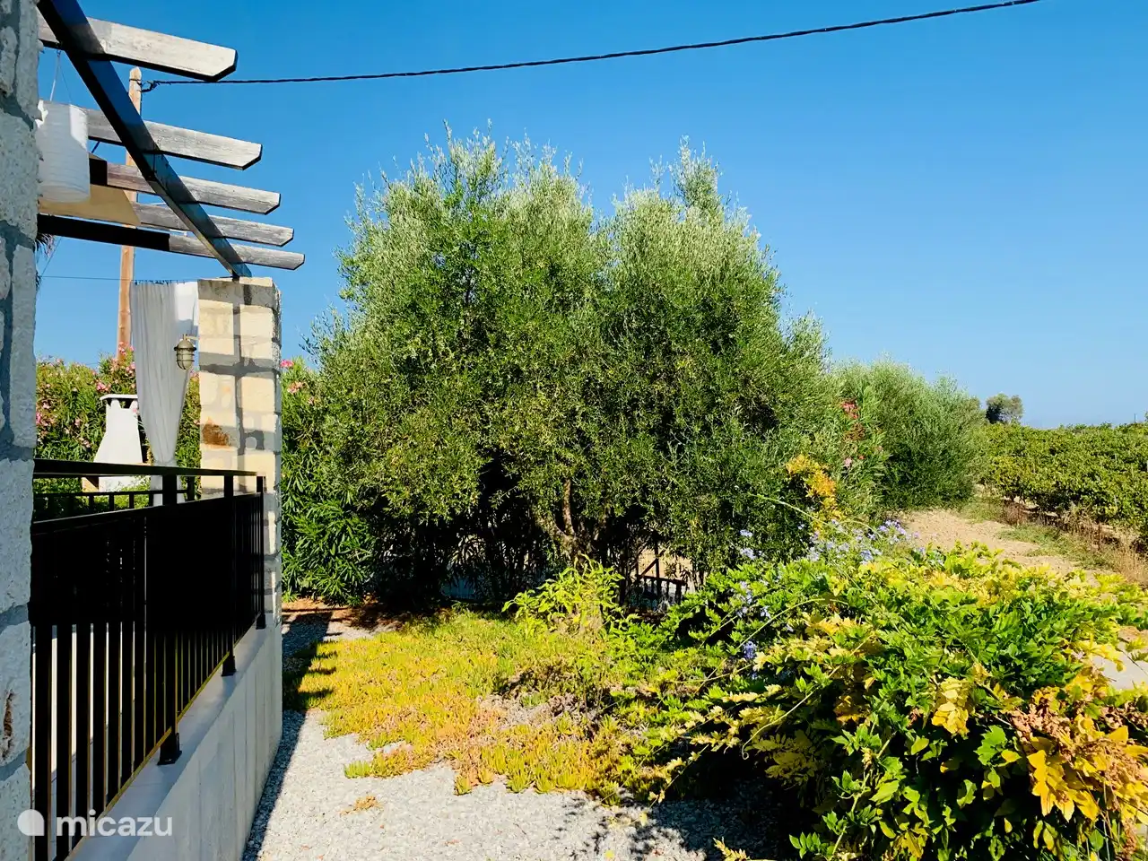 Garten auf der Nordseite