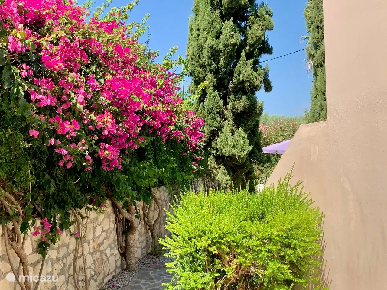 Garten auf der Südseite