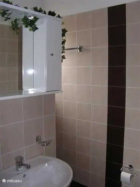 Badezimmer 1 Schlafzimmer 1 mit