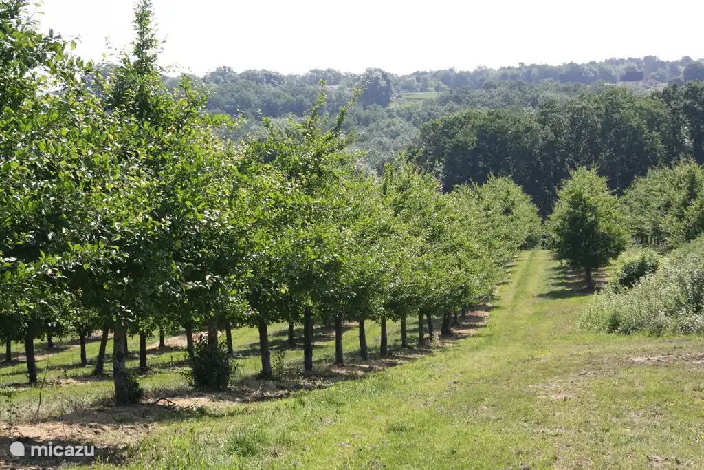Die schöne Umgebung des Hauses