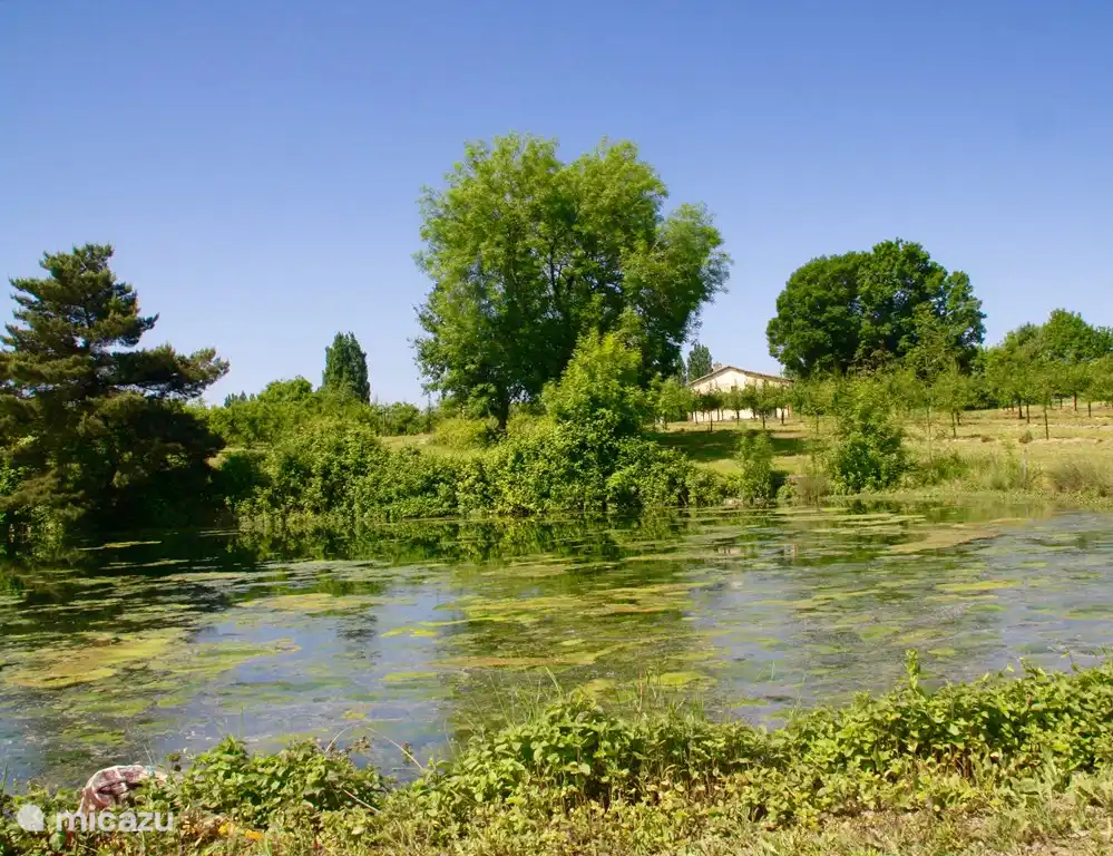 Blick auf das Haus vom kleinen See
