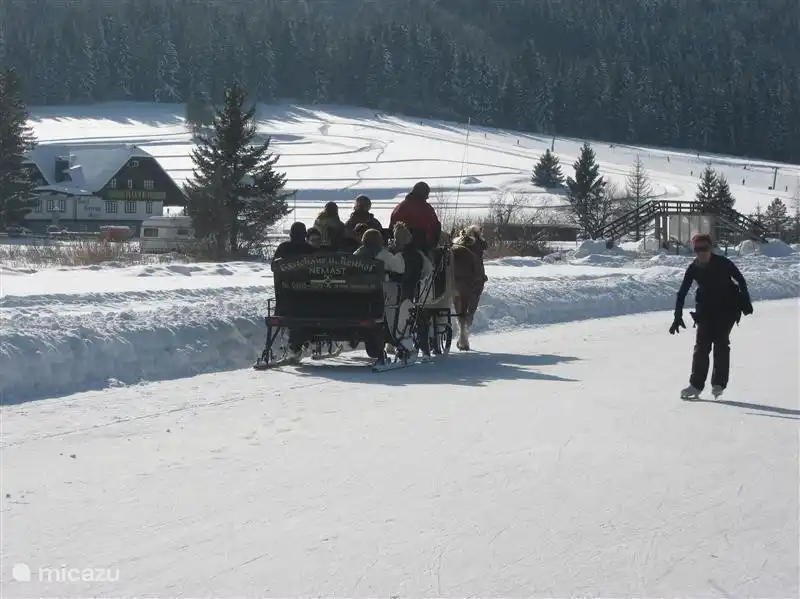 ... &#161;pero, por supuesto, tambi&#233;n es posible un viaje con el trineo!