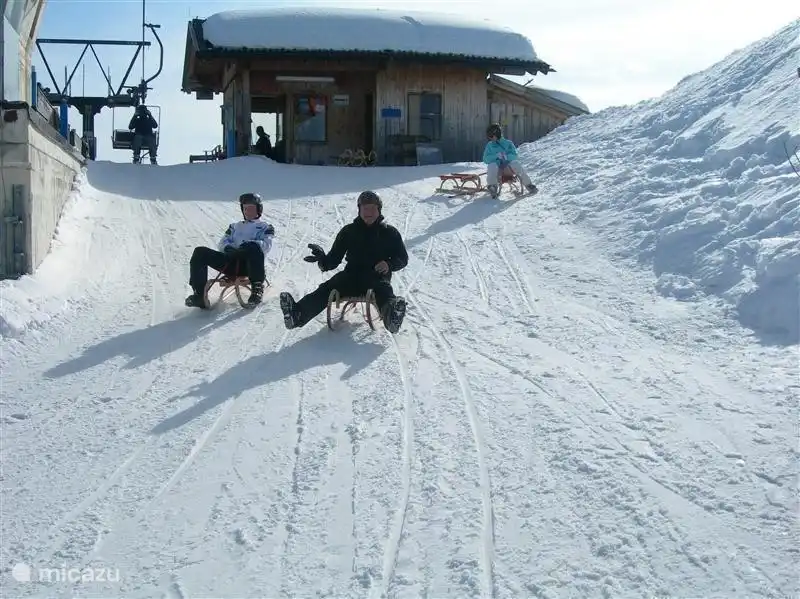 &#161;El comienzo de una experiencia inolvidable en trineo!