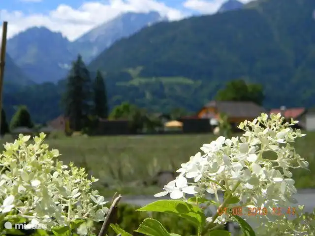 Disfrutando de la vista en verano...