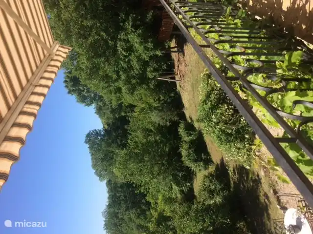 Uitkijk naar schommel en boomhut