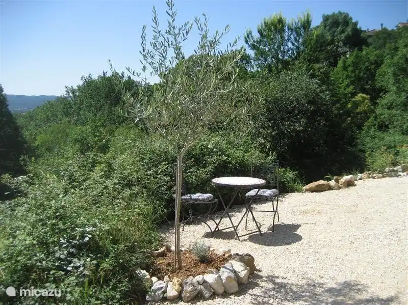 Sunny seat at the Olive Tree