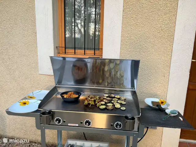 La Pinède : réf. et piscine refroidie | France, Vaucluse, Saint-Saturnin-lès-Apt - villa