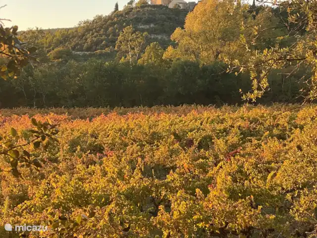 La Pinède : réf. et piscine refroidie | France, Vaucluse, Saint-Saturnin-lès-Apt - villa De la maison une belle promenade jusqu'à l'église visible du balcon de la provence avec une belle vue