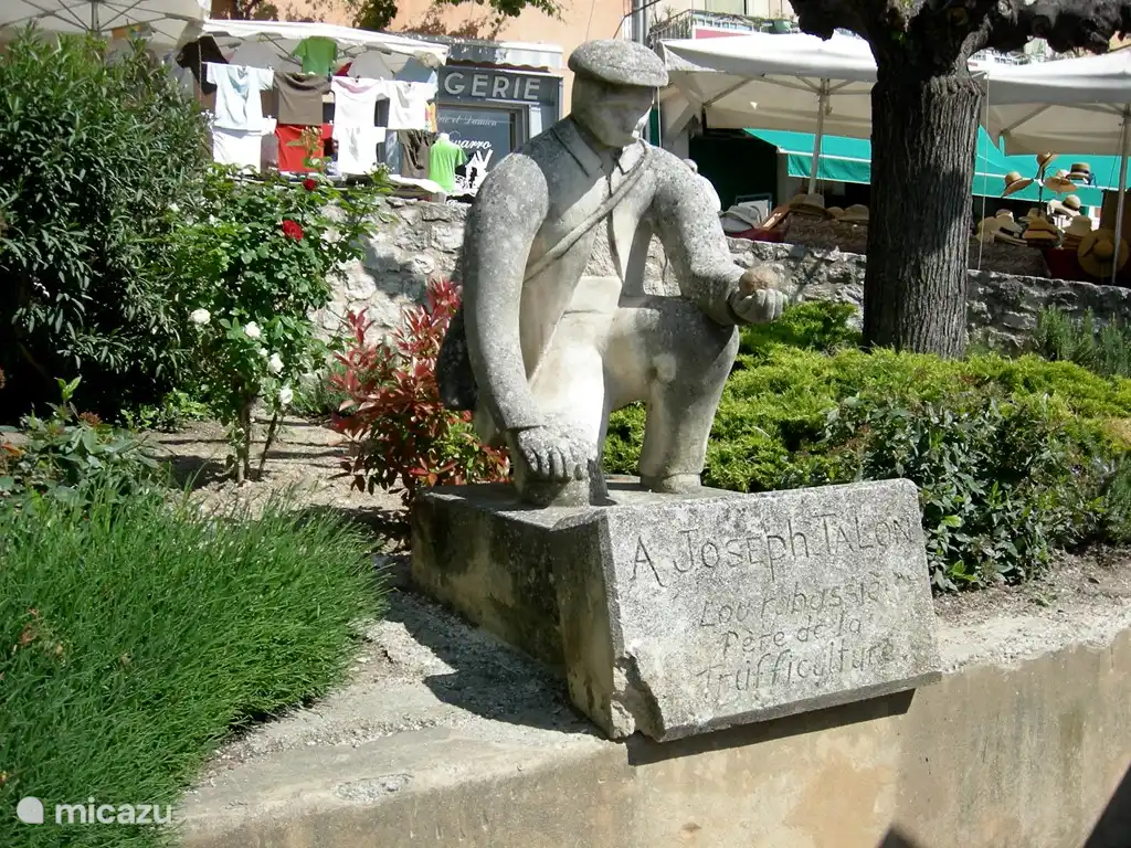 imagen del buscador de trufas