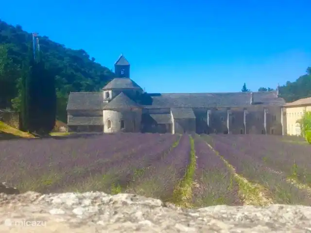 La Pinède : réf. et piscine refroidie | France, Vaucluse, Saint-Saturnin-lès-Apt - villa A Gordes, Abbaye de Sénanque à 19 km
