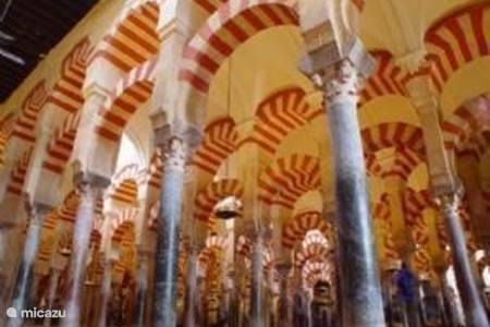 Cordoba en de Mezquita(de Grote Moskee annex Kathedraal)