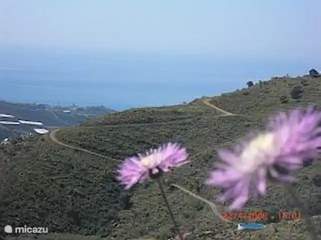 El Ancla huren in Spanje, Andalusië, Sayalonga - villa Natuurlijk uitzicht villa