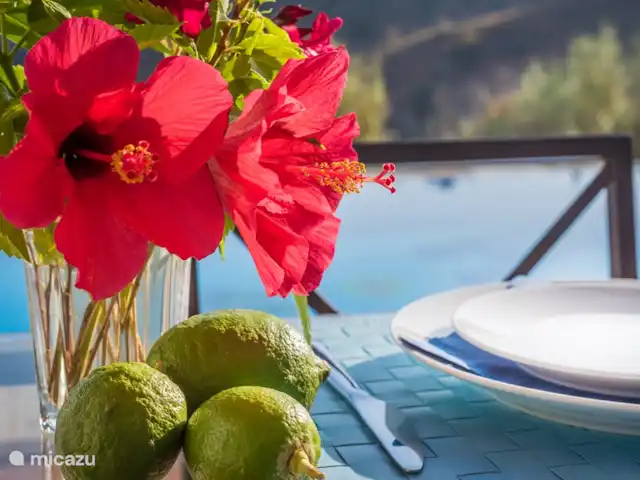 El Ancla huren in Spanje, Andalusië, Sayalonga - villa lunch