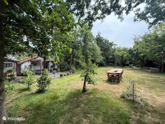 Playa en Países Bajos, Holanda del Norte, Bergen - casa vacacional El jardín con manzanos