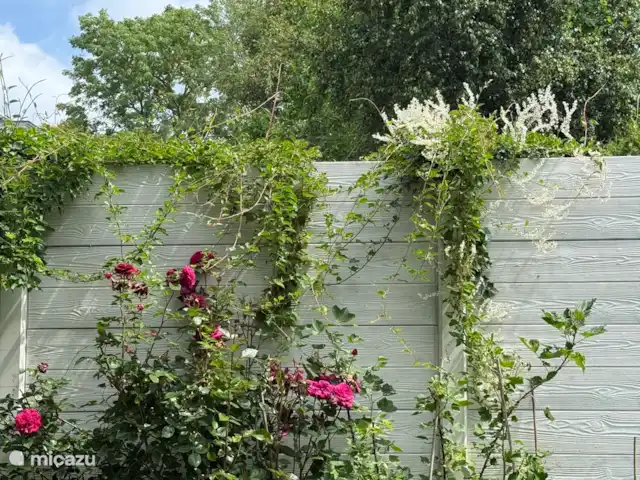 Playa en Países Bajos, Holanda del Norte, Bergen - casa vacacional huerto