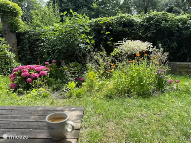 Playa en Países Bajos, Holanda del Norte, Bergen - casa vacacional Huerto