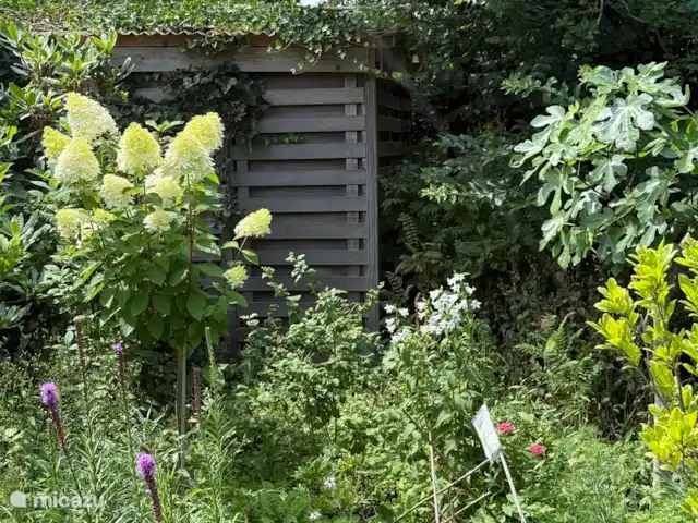 Playa en Países Bajos, Holanda del Norte, Bergen - casa vacacional Cobertizo de huerta
