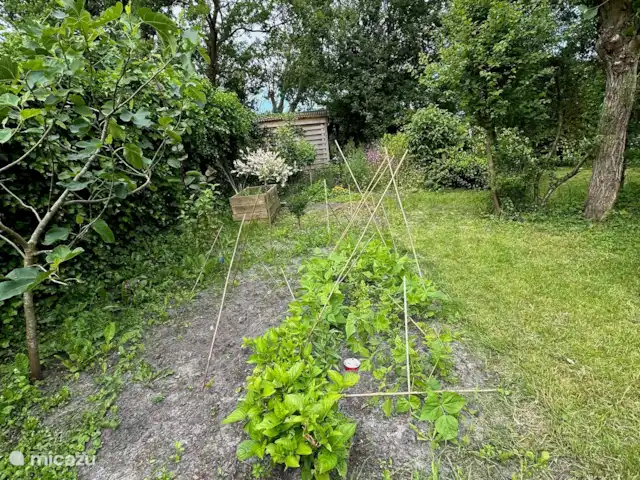 Playa en Países Bajos, Holanda del Norte, Bergen - casa vacacional Jardín