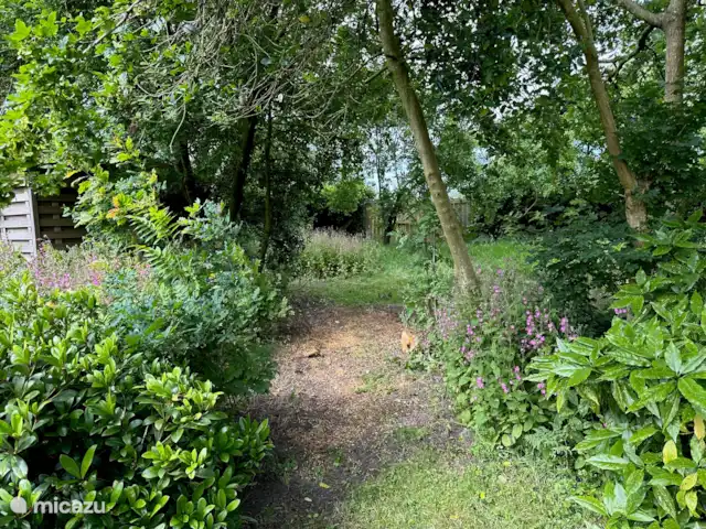 Playa en Países Bajos, Holanda del Norte, Bergen - casa vacacional Jardín