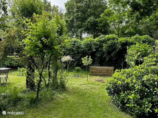 Playa en Países Bajos, Holanda del Norte, Bergen - casa vacacional Jardín