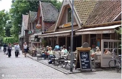 Terrasses et marché bio à Bergen